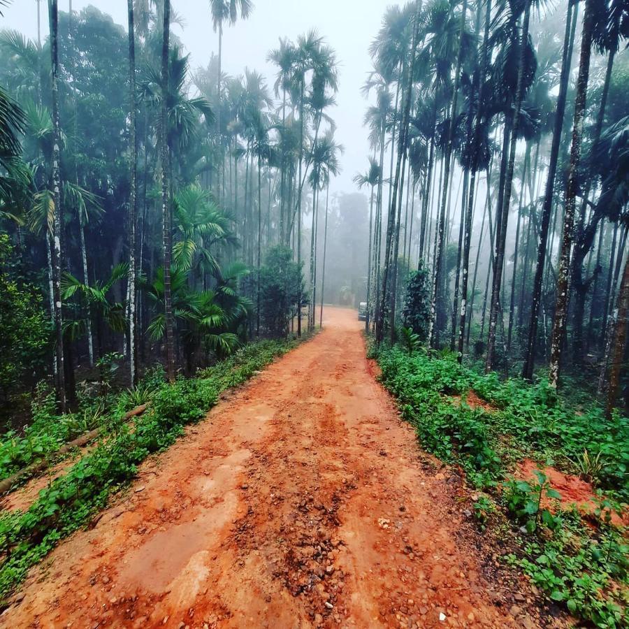 Hosamane Farm Inn Sringeri ภายนอก รูปภาพ