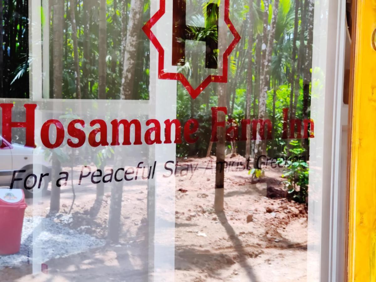 Hosamane Farm Inn Sringeri ภายนอก รูปภาพ
