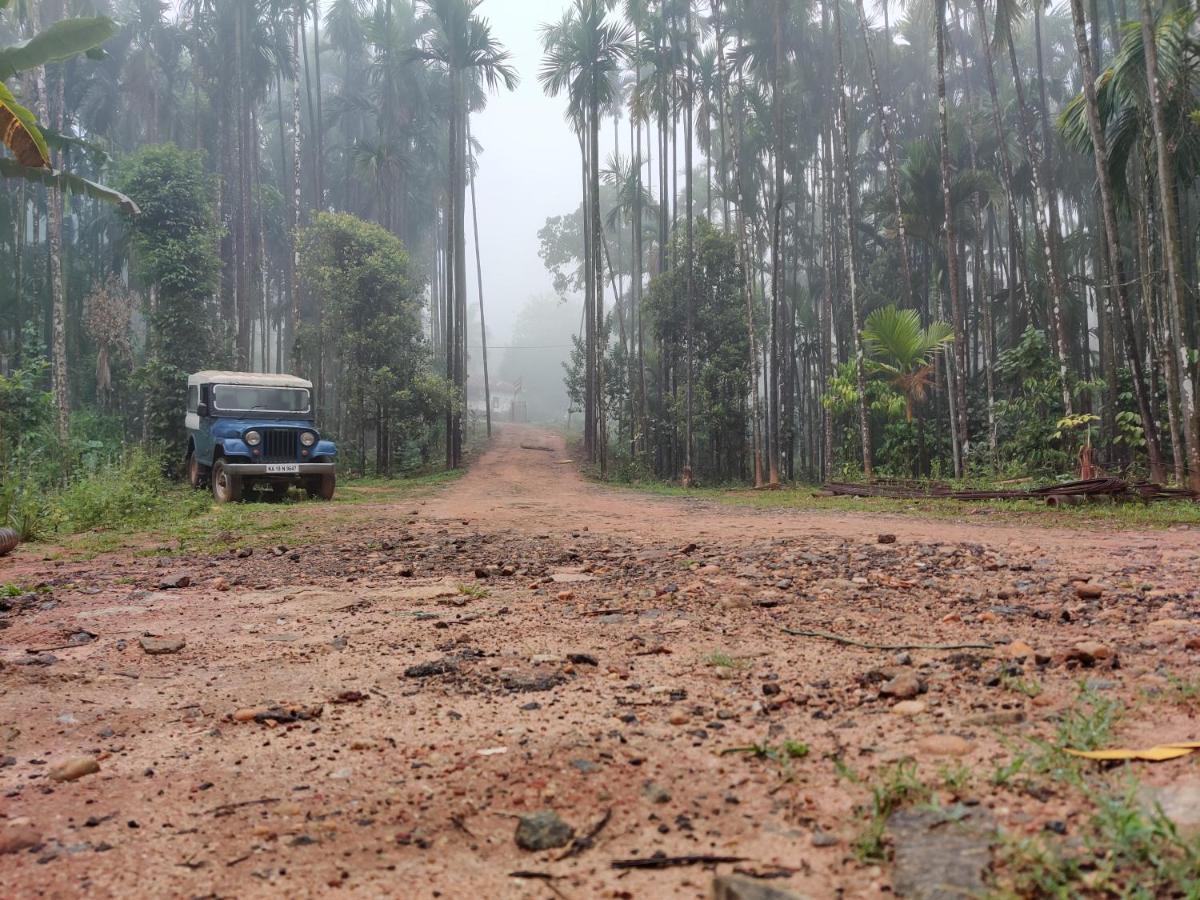 Hosamane Farm Inn Sringeri ภายนอก รูปภาพ
