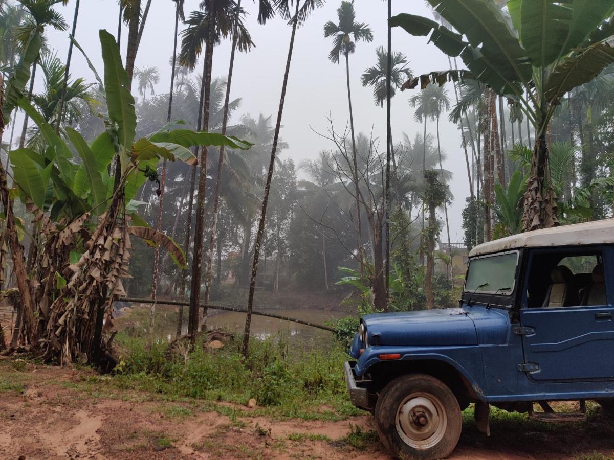 Hosamane Farm Inn Sringeri ภายนอก รูปภาพ