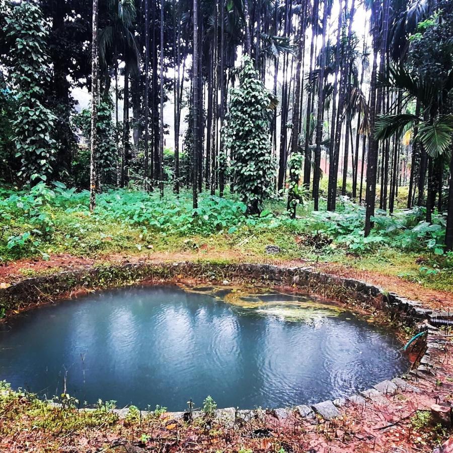 Hosamane Farm Inn Sringeri ภายนอก รูปภาพ