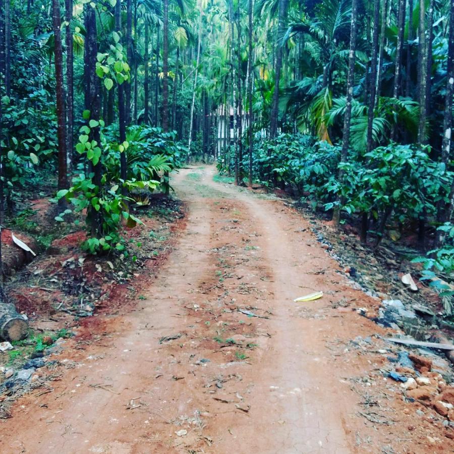 Hosamane Farm Inn Sringeri ภายนอก รูปภาพ